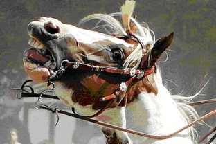 Про панические атаки и прочие тревожные расстройства