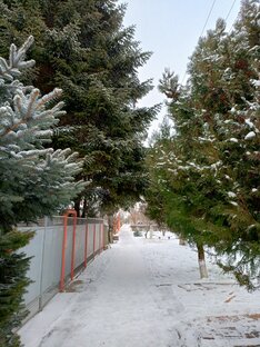 Душа Природы