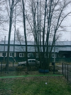 Улица леса