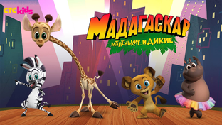 Мадагаскар маленькие и дикие 