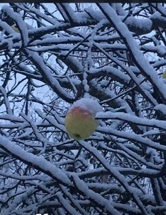 Влоги о вязании и не только 