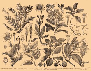 Из глубины веков.