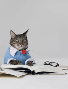 Реальные разборы внешности и гардероба