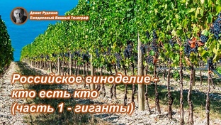 Кто есть кто