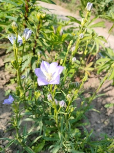 Чувашия. Чебоксары. Новочебоксарск и окрестности