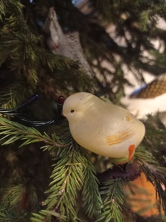 Инкубация онлайн. Каждый день смотрим, что происходит в инубаторе.