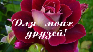 Создание слайд шоу в программе Прошоу Продюсер