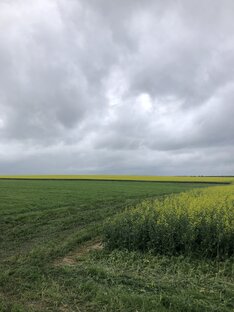 Просто красивые фотографии 😇