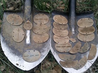 Полевые выходы