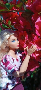 Цветы и куклы