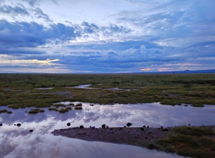 Мысли вслух о разном ...