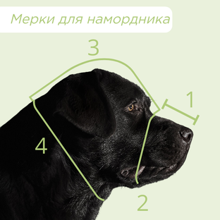 Снимаем мерки