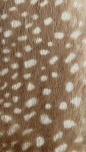 ~ задаю вопросы до лета ~