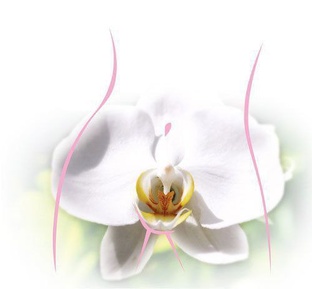 Раздельно диагностическое выскабливание / РДВ