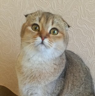 Праздники и события