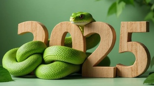 2025 год Змеи