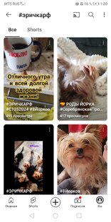 #Украли12Йорков #ЭРИЧКАРФ #Тут12Й