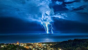 Ужасная природа