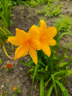 Разная тематика