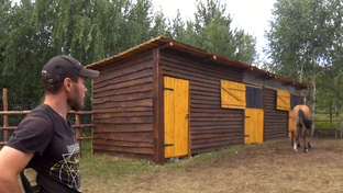 Строительство конюшни