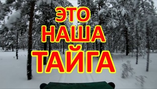 Тайга, Рыбалка, Грибы