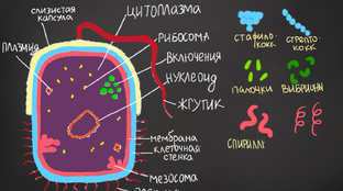 А что на самом деле?