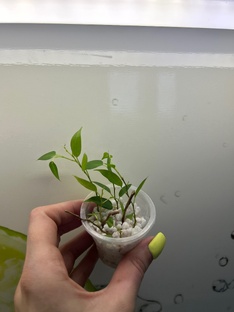 Эксперименты 