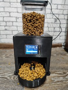 Мои проекты