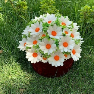 Удивительные истории