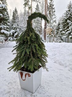 New Year DIY