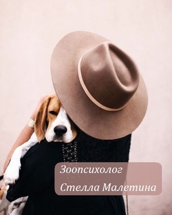 Обо мне