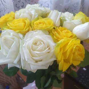 РАЗНОЕ ИЗ МОЕЙ ЖИЗНИ.