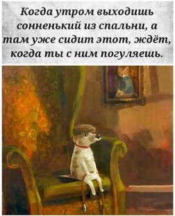 Фото Боссика