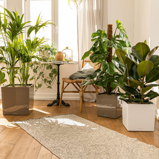 кашпо с автополивом LECHUZA