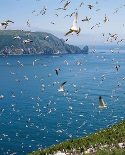 Лето - это маленькая жизнь