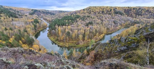 Новосибирская область