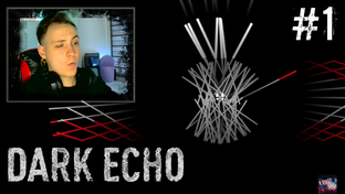 DARK ECHO