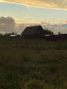 Наш приют ДРУГ ЖИВИ.г.ОМСК