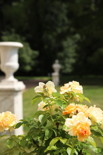 Усадьбы Подмосковья