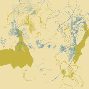 Иллюстрации