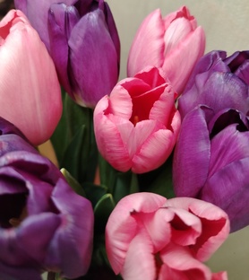 Объявления☀️