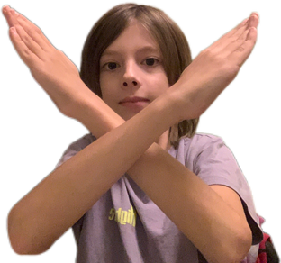 Фейк прохождения 