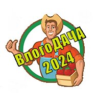 ВлогоДАЧА 2024