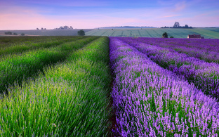 Лиха беда начала