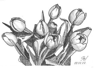 Мои рисунки линером