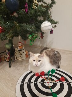 Клякса и другие