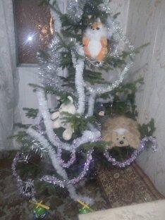 Всех с новым годом!