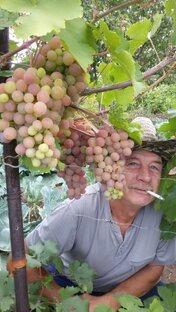 Владимир Семёнович Пантелеев