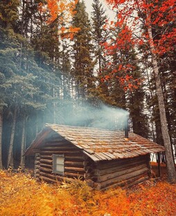 Тайна тишины.  Таёжная история 