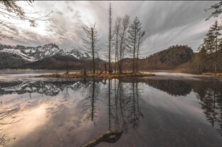 #Фото